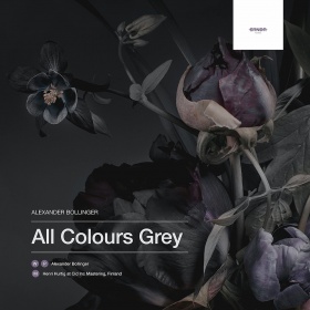 ALEXANDER BOLLINGER - ALL COLOURS GREY